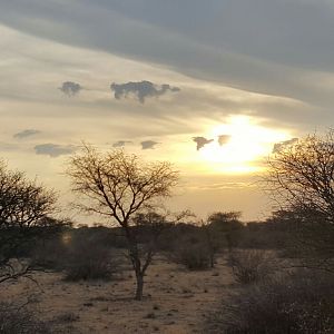 Beauty of the Kalahari