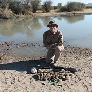 Wing Shooting Sandgrouse Namibia