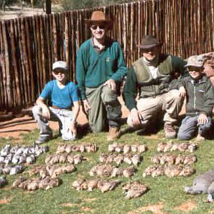 Wing Shooting Sandgrouse, Dove & Guinea fowl Namibia