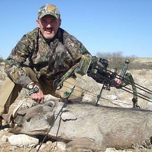 Bow Hunting Warthog in Namibia