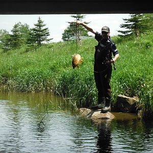 Carp Bow Fishing