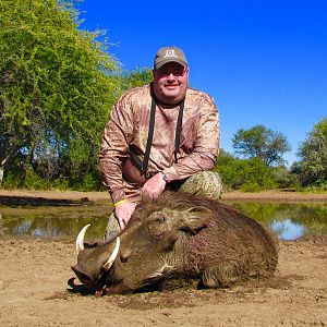 Hunting Warthog in South Africa