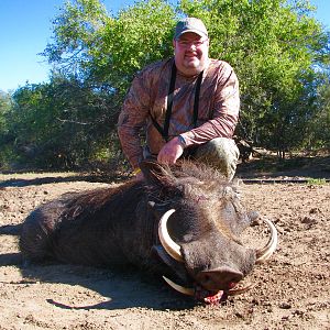 Hunting Warthog in South Africa