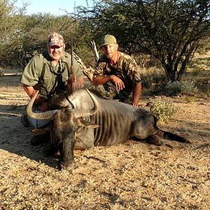 Blue Wildebeest Hunting in Namibia