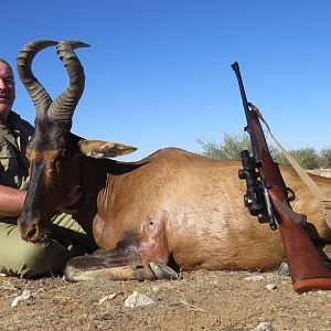 Red Hartebeest Hunting in Namibia