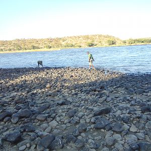 Hunting Hippo in Zimbabwe