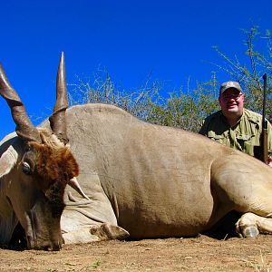 Hunting Eland South Africa