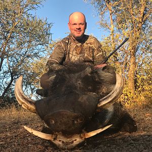 Hunting Warthog in South Africa