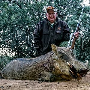 Hunting Warthog in South Africa