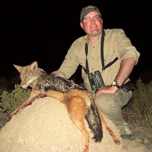 South Africa Jackal Hunting