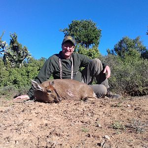 South Africa Duiker Cull Hunting