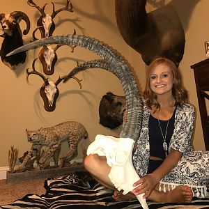 Sable Antelope European Skull Mount Taxidermy