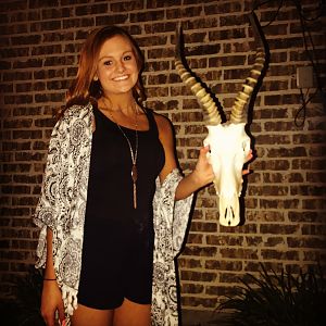 Taxidermy Blesbok European Skull Mount