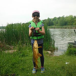 Bow Fishing Carp