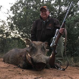 Hunting Warthog in South Africa