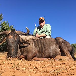 Blue Wildebeest Hunting in South Africa