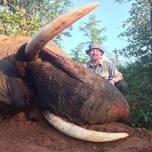 Elephant Zimbabwe Hunt