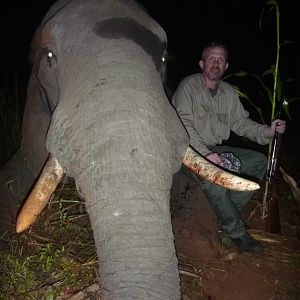 Zimbabwe Elephant Hunting