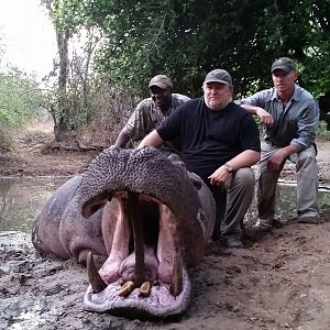 Tanzania Hunt Hippo