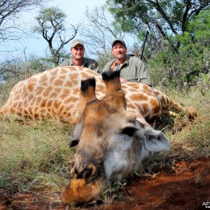 Hunting Giraffe South Africa