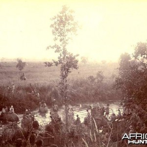 His Imperial Majesty's Shoot, Nepal 1911