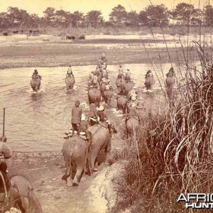 His Imperial Majesty's Shoot, Nepal 1911