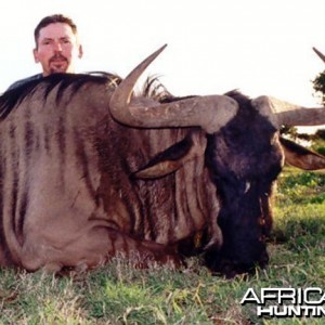 Blue Wildebeest Hunt East Cape SA