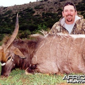 Nyala Hunt East Cape SA