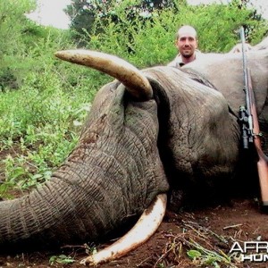 Elephant PAC Hunt in Mozambique