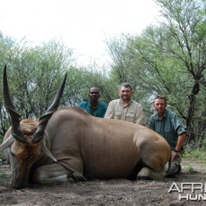 Cape Eland hunt in Limpopo RSA - 36 1/2 inches