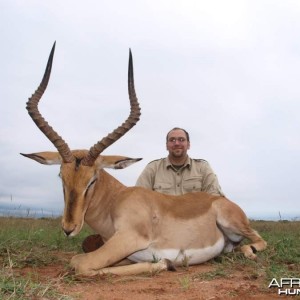 Southern Impala