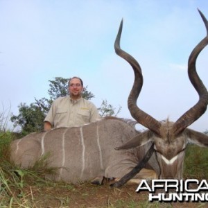 Southern Greater Kudu