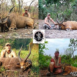 Lord Derby Eland, Bongo, Western Sitatunga and Harnessed Bushbuck