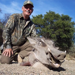 Warthog Hunt East Cape South Africa