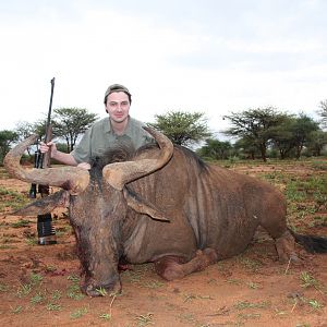 Blue Wildebeest Namibia