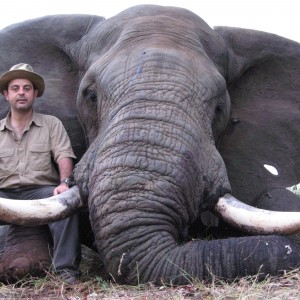 62 pounder- Zimbabwe