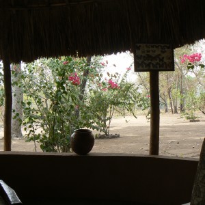 Hunting Camp in CAR