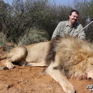 Lion Hunted in South AFrica