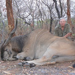 Very old, worn down Derby eland, hunted in CAR