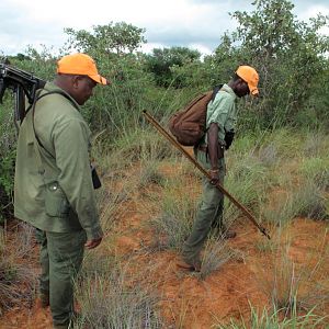 Tracking in Namibia Waterberg Plateau