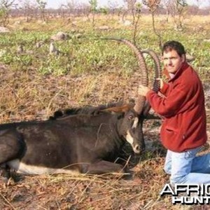 Giant Sable Angola