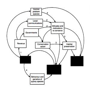 Sport Hunting, Does Sport Hunting Benefit Conservation?