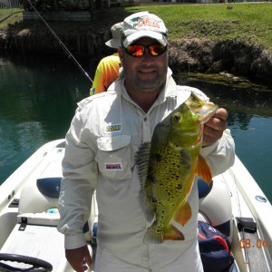 Polarized Sunglasses for Fishing - Peacock Bass