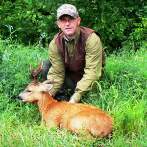 Roe buck