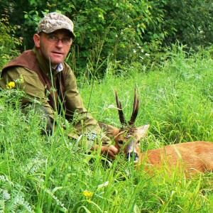 Roe buck