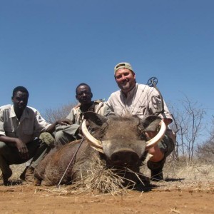 Warthog South Africa 12.5 inches