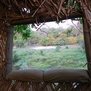 Blind in Central African Republic