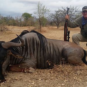 Wildebeest Hunt