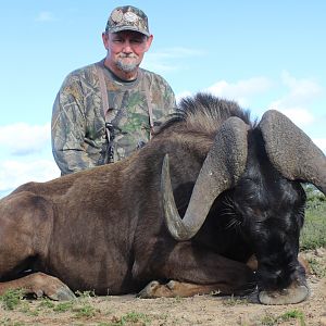 Hunting South Africa Black Wildebeest