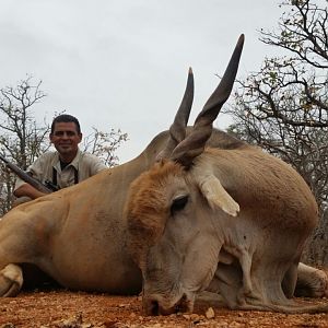 Hunting Eland South Africa